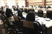از مدل‌سازی تا درمان؛ نگاهی به آینده نانوداروهای شخصی‌سازی‌شده در ژورنال کلاب دانشکده داروسازی