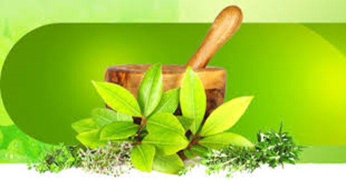 pharmacognosy