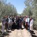پیوند علم و صنعت در باغ‌های زیتون؛ تجربه علمی دانشجویان داروسازی در مجتمع فدک